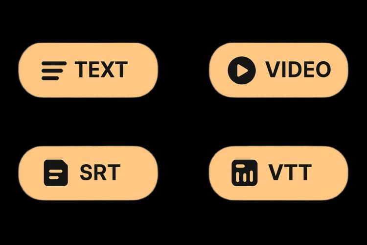 Download Text, Subtitles or Video
